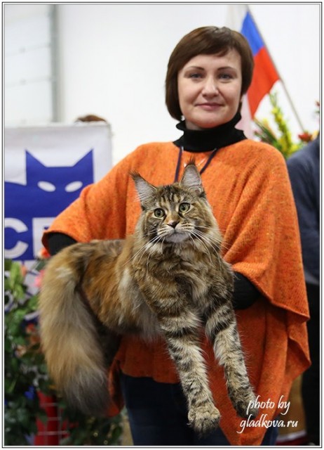 Золотая коллекция, 10-11 октября, Зоомир, VICTORY