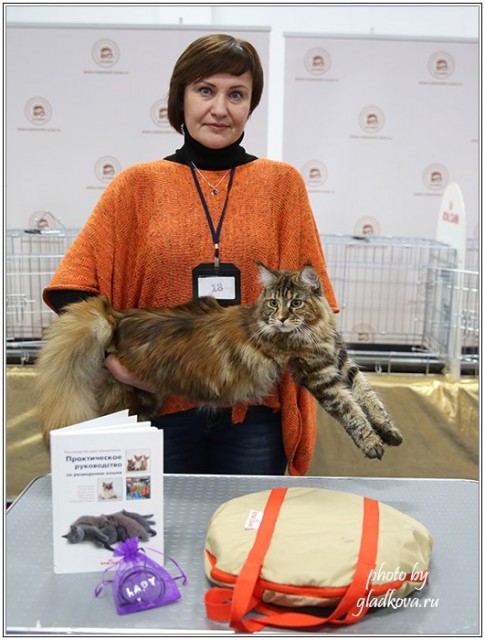 Золотая коллекция, 10-11 октября, Зоомир, VICTORY