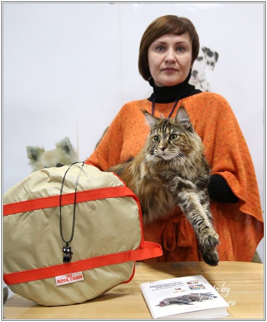 Золотая коллекция, 10-11 октября, Зоомир, VICTORY