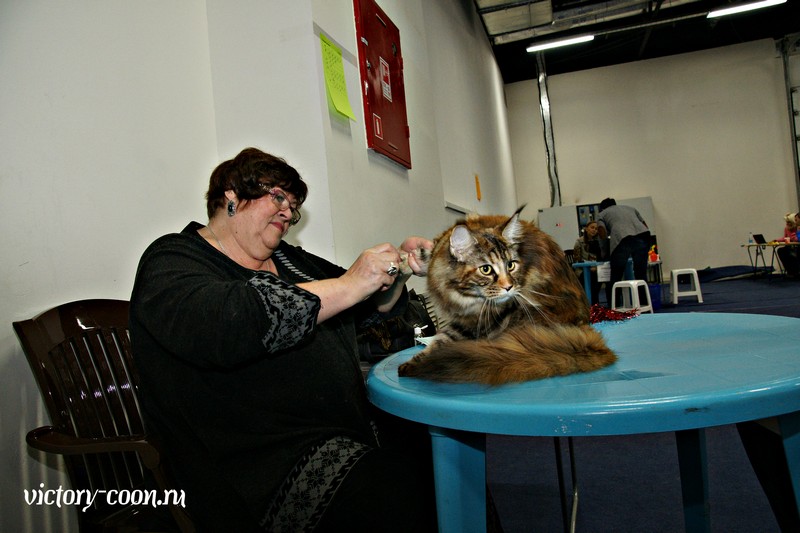 Золотая коллекция, 10-11 октября, Зоомир, VICTORY