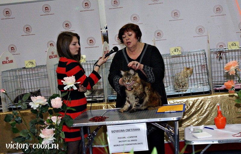 Золотая коллекция, 10-11 октября, Зоомир, VICTORY