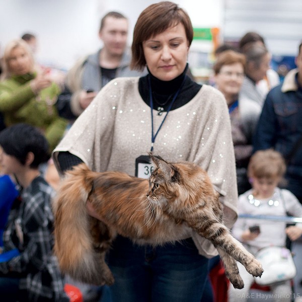 РосКошная осень в Сокольниках, VICTORY