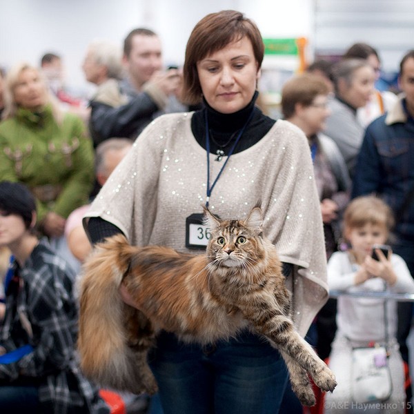 РосКошная осень в Сокольниках, VICTORY