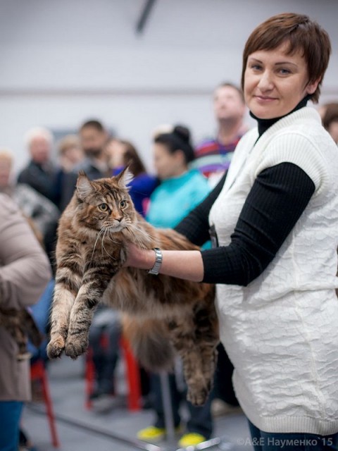 РосКошная осень в Сокольниках, VICTORY
