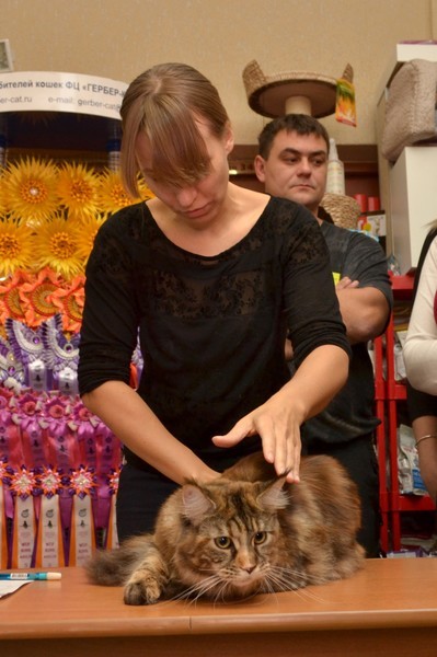 Брянские просторы, 31октября-1 ноября, VICTORY