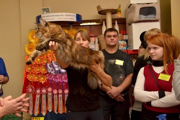 Брянские просторы, 31октября-1 ноября, VICTORY