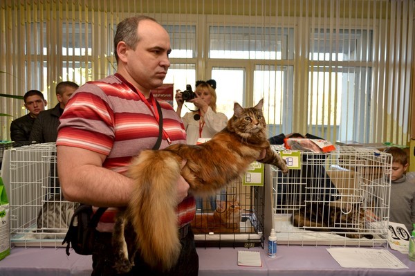 Брянские просторы, 31октября-1 ноября, VICTORY