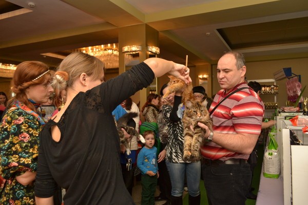 Брянские просторы, 31октября-1 ноября, VICTORY