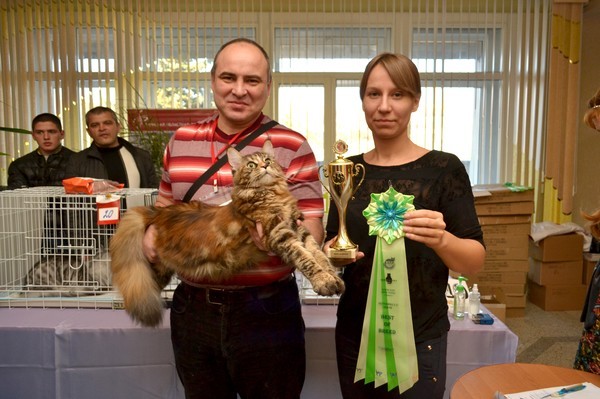 Брянские просторы, 31октября-1 ноября, VICTORY