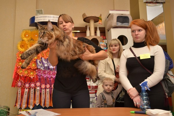 Брянские просторы, 31октября-1 ноября, VICTORY