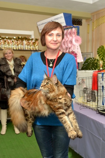 Брянские просторы, 31октября-1 ноября, VICTORY