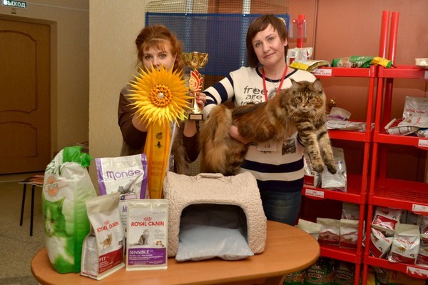 Брянские просторы, 31октября-1 ноября, VICTORY