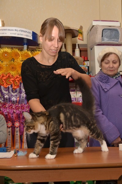 Брянские просторы, 31октября-1 ноября, VICTORY