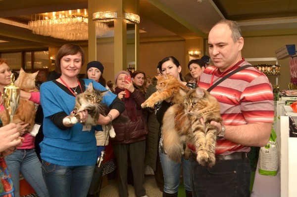 Брянские просторы, 31октября-1 ноября, VICTORY