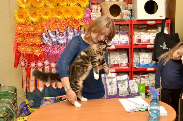 Брянские просторы, 31октября-1 ноября, VICTORY