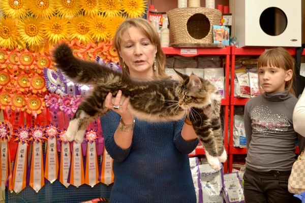 Брянские просторы, 31октября-1 ноября, VICTORY