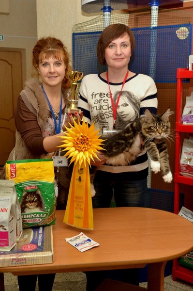 Брянские просторы, 31октября-1 ноября, VICTORY