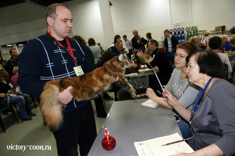 Кэт-Салон-Ноябрь, 14-15 ноября, VICTORY