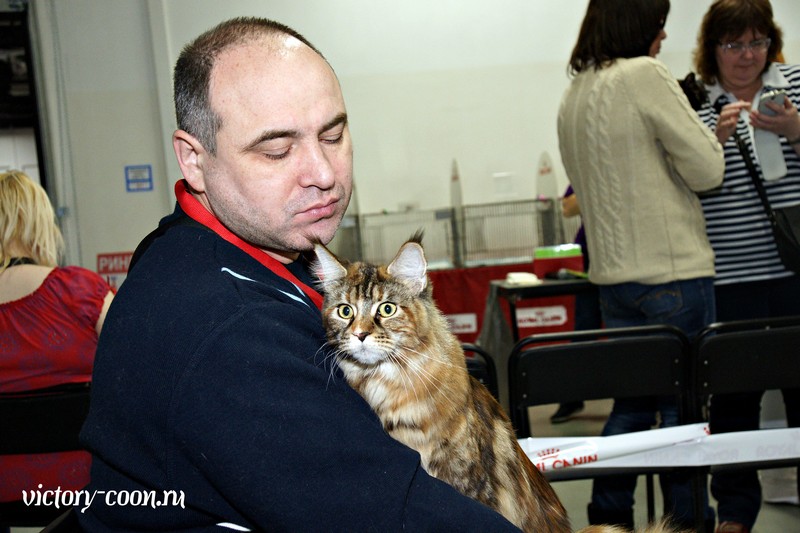 Кэт-Салон-Ноябрь, 14-15 ноября, VICTORY