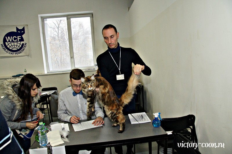 Кэт-Салон-Ноябрь, 14-15 ноября, VICTORY