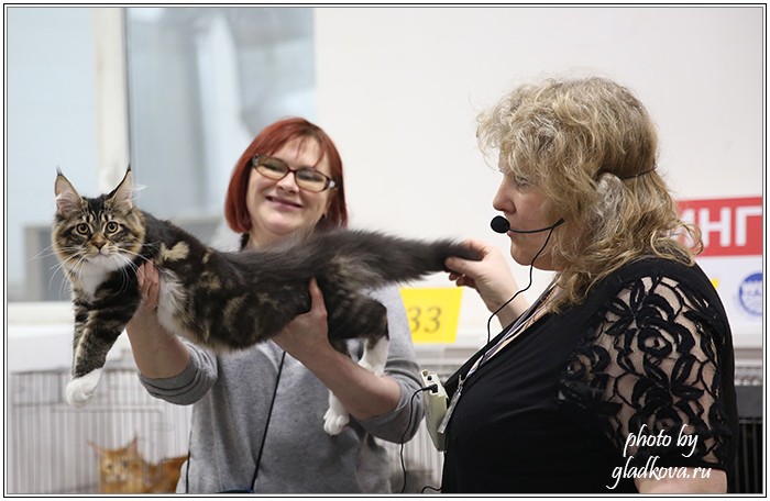 Кэт-Салон-Ноябрь, 14-15 ноября, VICTORY