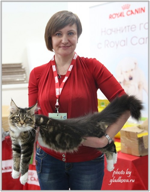 Кэт-Салон-Ноябрь, 14-15 ноября, VICTORY