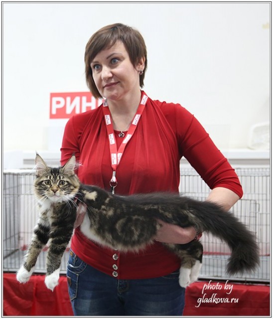 Кэт-Салон-Ноябрь, 14-15 ноября, VICTORY