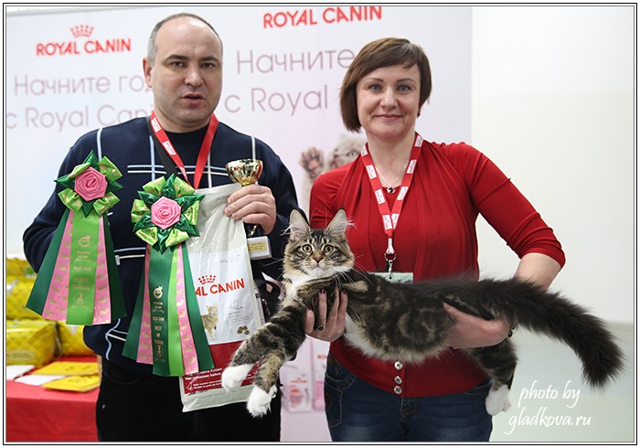 Кэт-Салон-Ноябрь, 14-15 ноября, VICTORY