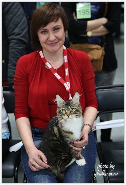 Кэт-Салон-Ноябрь, 14-15 ноября, VICTORY