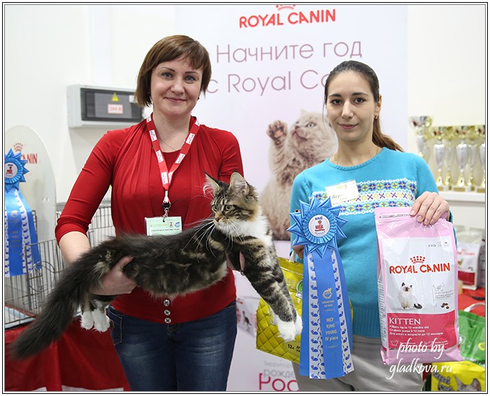 Кэт-Салон-Ноябрь, 14-15 ноября, VICTORY