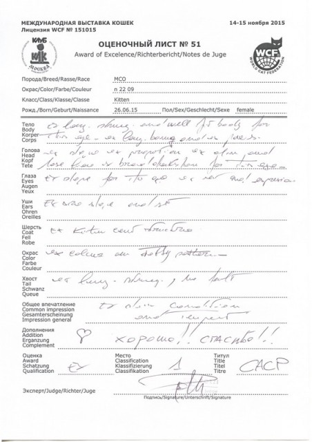 Кэт-Салон-Ноябрь, 14-15 ноября, VICTORY