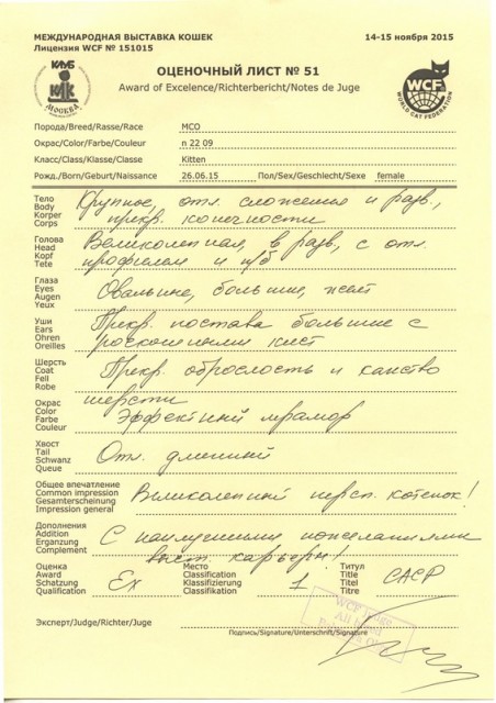 Кэт-Салон-Ноябрь, 14-15 ноября, VICTORY