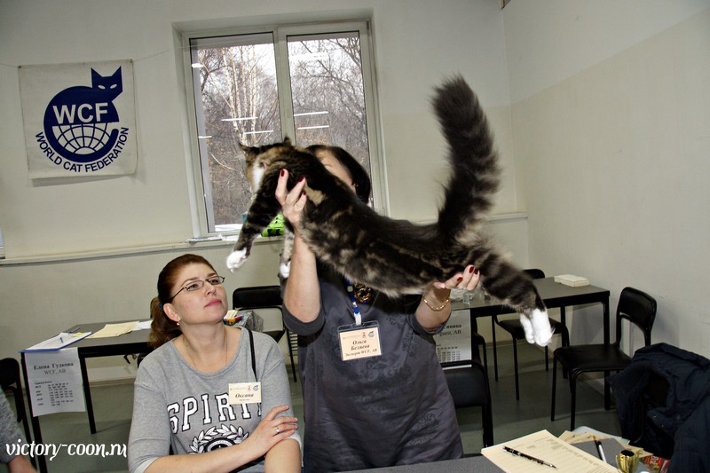 Кэт-Салон-Ноябрь, 14-15 ноября, VICTORY