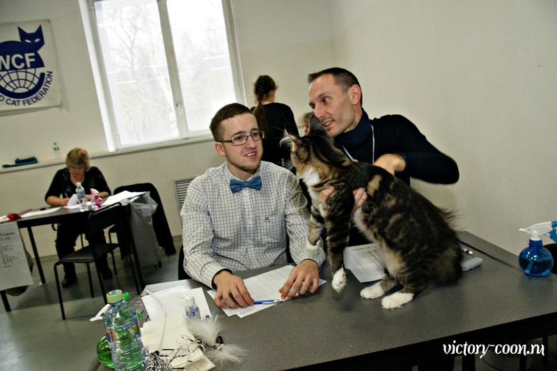 Кэт-Салон-Ноябрь, 14-15 ноября, VICTORY