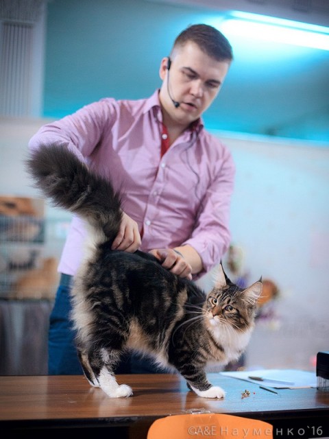 "РосКошная зима в Сокольниках", 30-31 января 2016 г., Victory