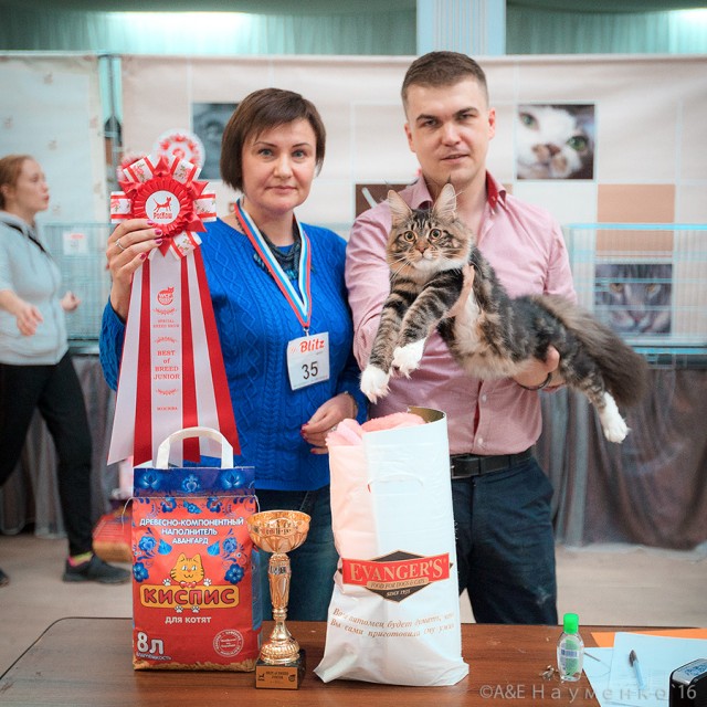 "РосКошная зима в Сокольниках", 30-31 января 2016 г., Victory