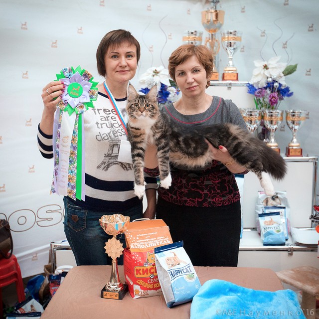 "РосКошная зима в Сокольниках", 30-31 января 2016 г., Victory