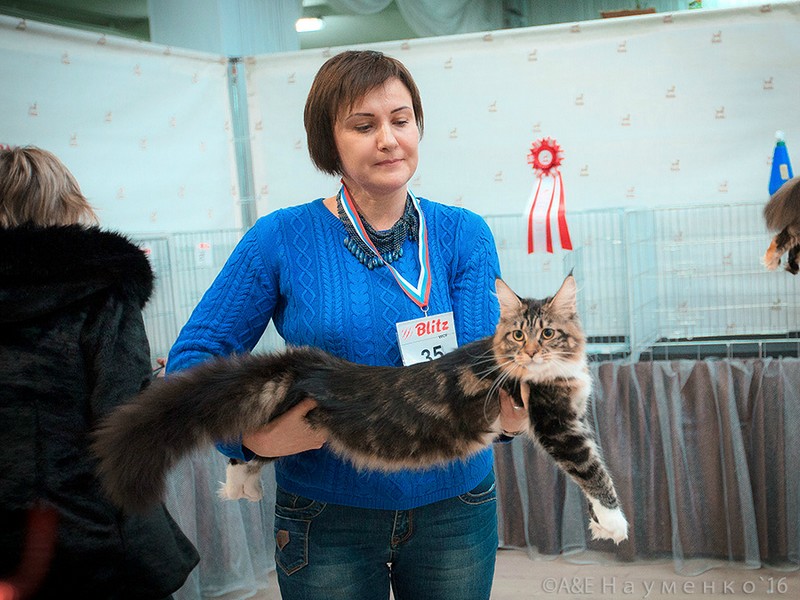"РосКошная зима в Сокольниках", 30-31 января 2016 г., Victory