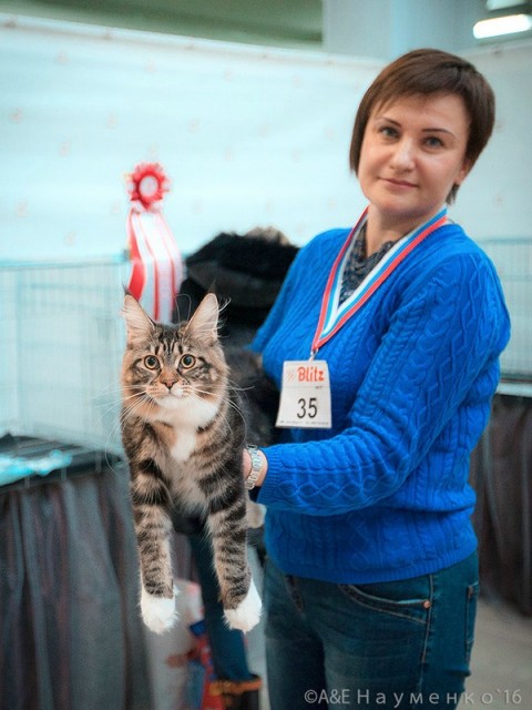 "РосКошная зима в Сокольниках", 30-31 января 2016 г., Victory