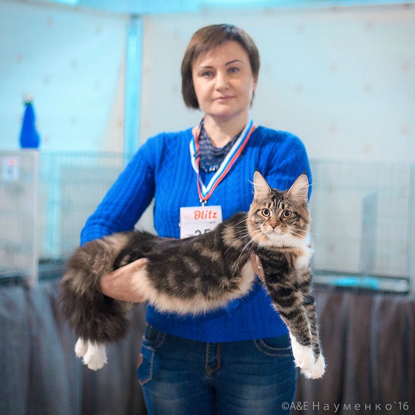 "РосКошная зима в Сокольниках", 30-31 января 2016 г., Victory