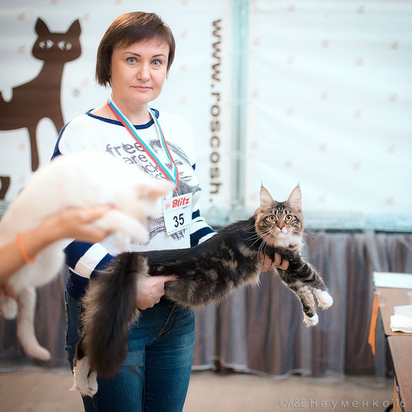 "РосКошная зима в Сокольниках", 30-31 января 2016 г., Victory