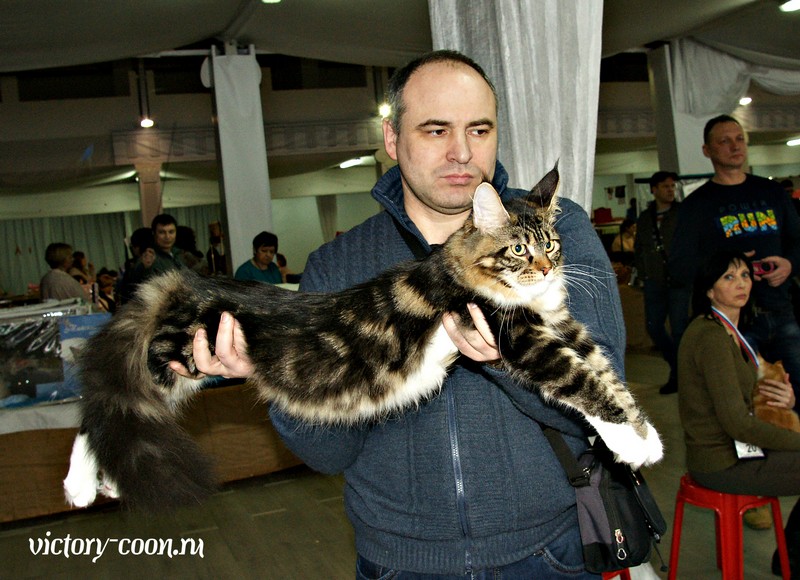 "РосКошная зима в Сокольниках", 30-31 января 2016 г., Victory