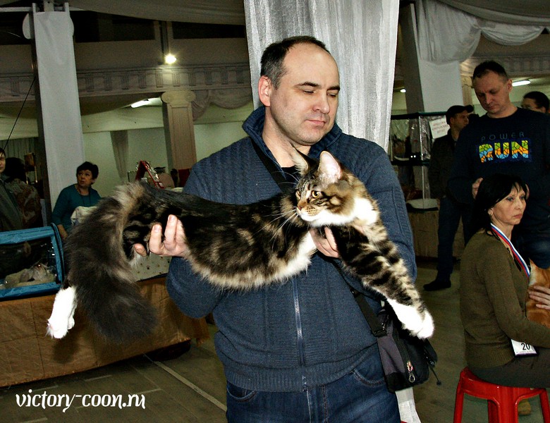 "РосКошная зима в Сокольниках", 30-31 января 2016 г., Victory