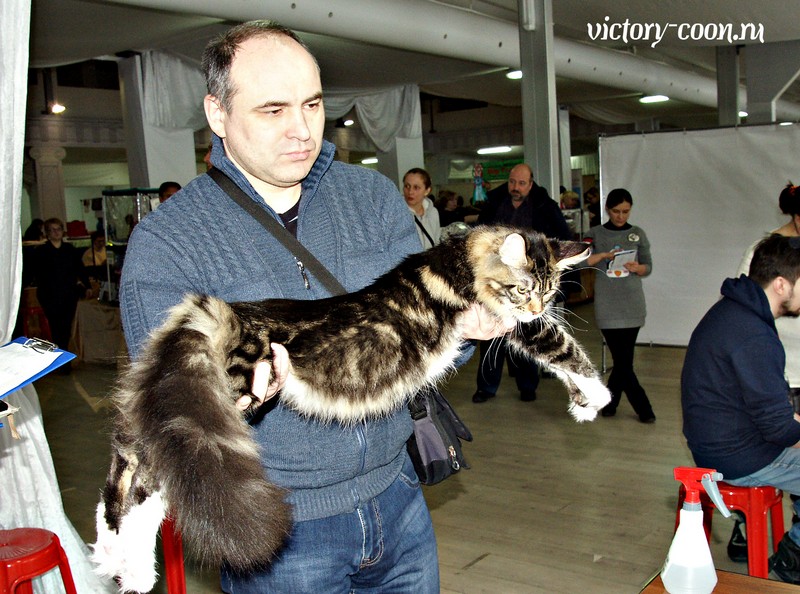 "РосКошная зима в Сокольниках", 30-31 января 2016 г., Victory