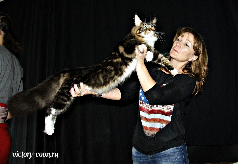 "РосКошная зима в Сокольниках", 30-31 января 2016 г., Victory