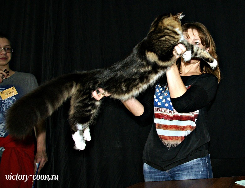 "РосКошная зима в Сокольниках", 30-31 января 2016 г., Victory