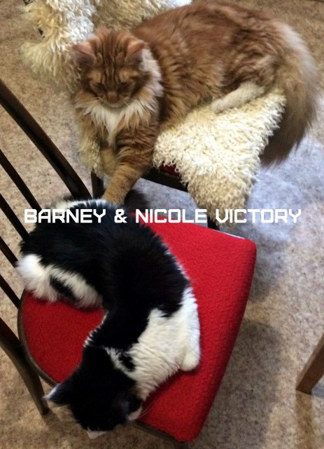 Barney and NICOLE VICTORY