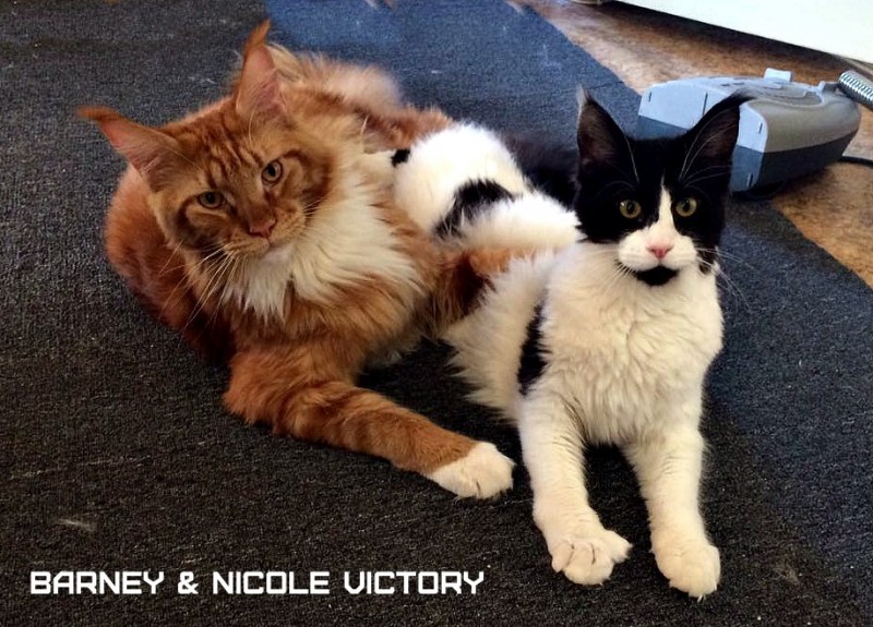 Barney and NICOLE VICTORY