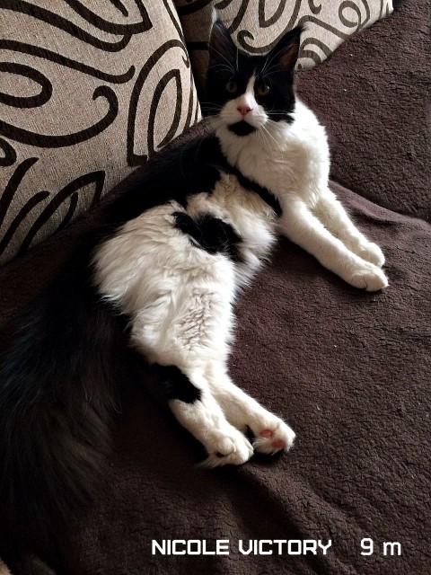 NICOLE VICTORY, 9 месяцев