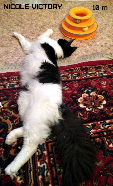 NICOLE VICTORY, 10 месяцев